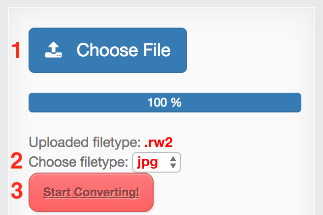 How to convert RW2 files online to JPG